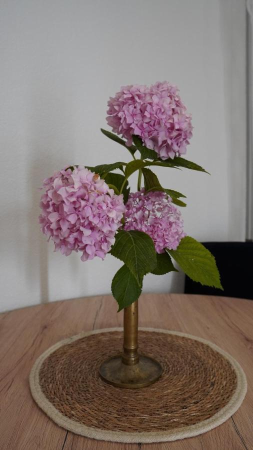 Apartmani Tripalo 伊莫茨基 外观 照片